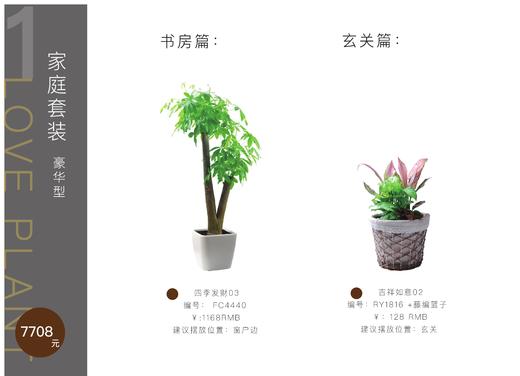 家庭套装豪华型 商品图2