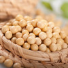 黄豆（合作） 商品缩略图0