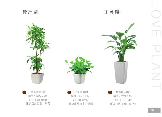 家庭套装豪华型 商品图3