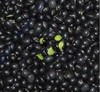 绿瓤黑豆（合作） 商品缩略图0