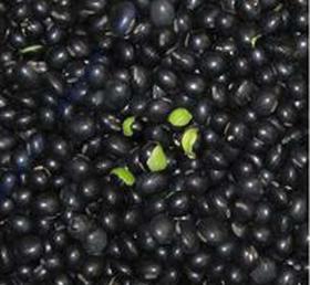 绿瓤黑豆（合作）