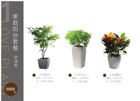 家庭阳台套餐舒适型