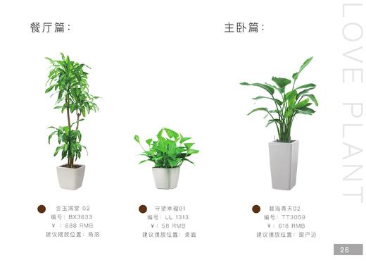 家庭套装尊享型 商品图3