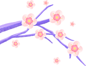 果盘测试推荐有奖0.1