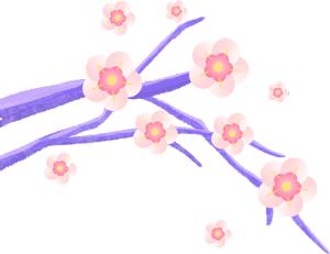 果盘测试推荐有奖0.1 商品图0