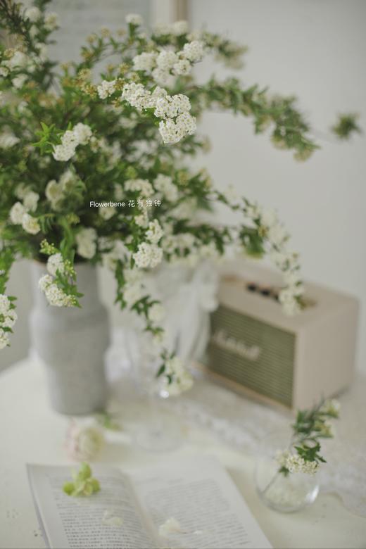 【周四秒杀】意境手球花一份49.8元 商品图4