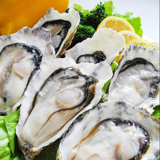 乳山生蚝(整箱)