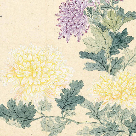 得艺作品 《花卉十开之菊花图》 恽寿平 水墨画国画框画现代装饰画