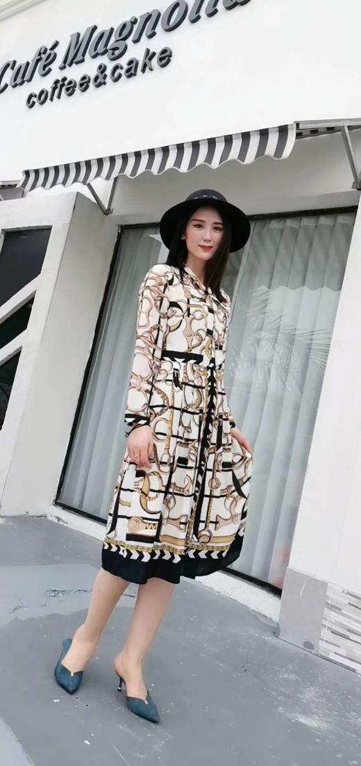 上女连衣裙Y85051 商品图1