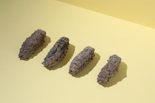 美国海参 商品图2