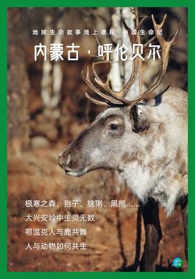 【中国生命纪·呼伦贝尔】第二期 DAY.3