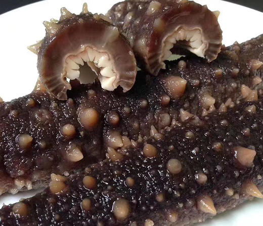 【美燕屋】加拿大红参 1磅约454克 商品图1