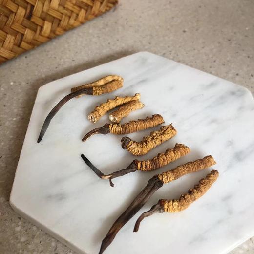 【美燕屋】那曲冬虫夏草断草 商品图1