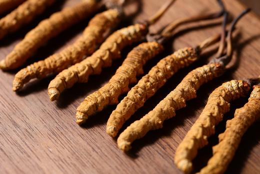 【美燕屋】那曲冬虫夏草 商品图1