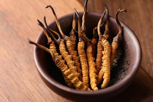 【美燕屋】那曲冬虫夏草 商品图0