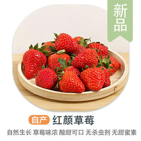 赞字村红颜草莓（±40g）（一等级）