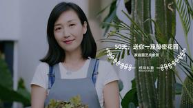 4月4日第二班开播前须知