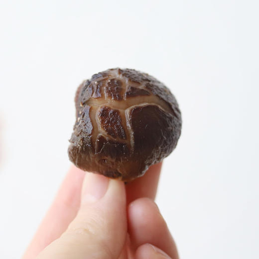 段木小花菇 | 大巴山深处野外纯青杠木生长，香菇中的极少数！《舌尖上的中国2》推崇山珍！ 商品图1