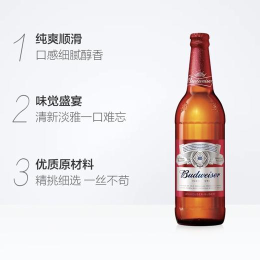 百威小麦啤酒600ml醇香浓郁聚会必备 商品图2