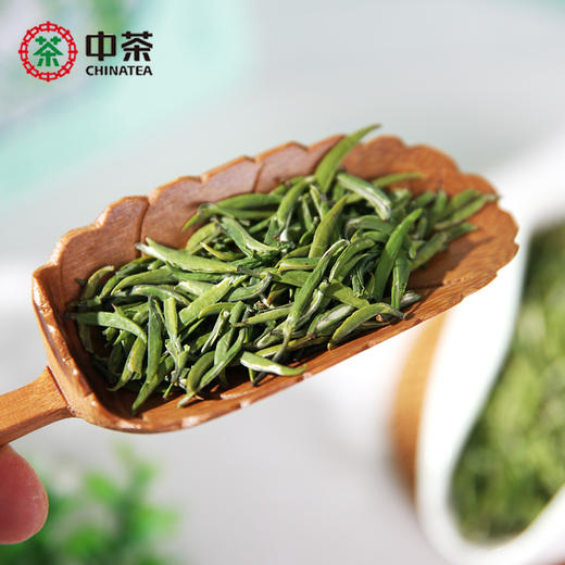 【预售】2026早春新茶-绿雀舌60g/盒 商品图2