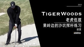老虎伍兹｜2019果岭边的沙坑挥杆练习欣赏