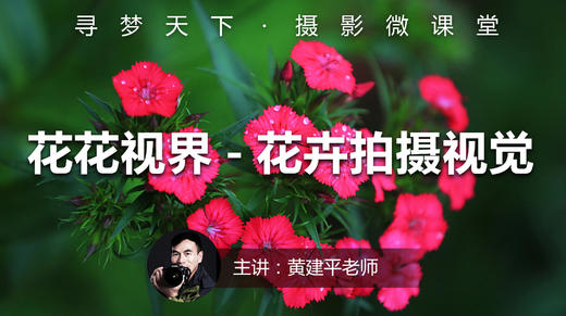 【微课堂21图文版】花花"视"界-花卉拍摄视觉 商品图0