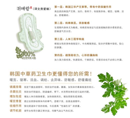 贵爱娘 韩方艾草日用卫生巾21cm18P 商品图2