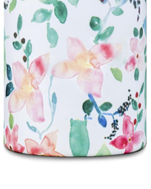 24 BOTTLES | 发芽 | LITTLE BUDS 商品图3