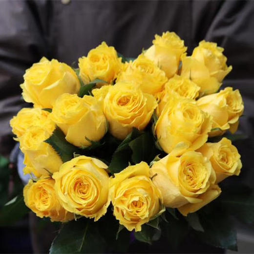 【秒杀福利】金枝玉叶 20支/扎 商品图2