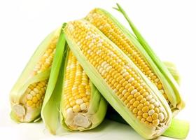 玉米棒    4个/份