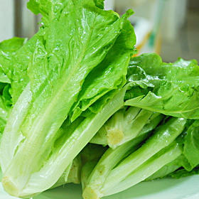 生菜   2斤装