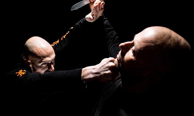 以色列马伽术官方教学视频--常见危机处置