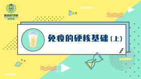 6-免疫的硬核基础（上）