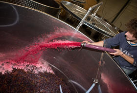 葡萄酒酿造全过程