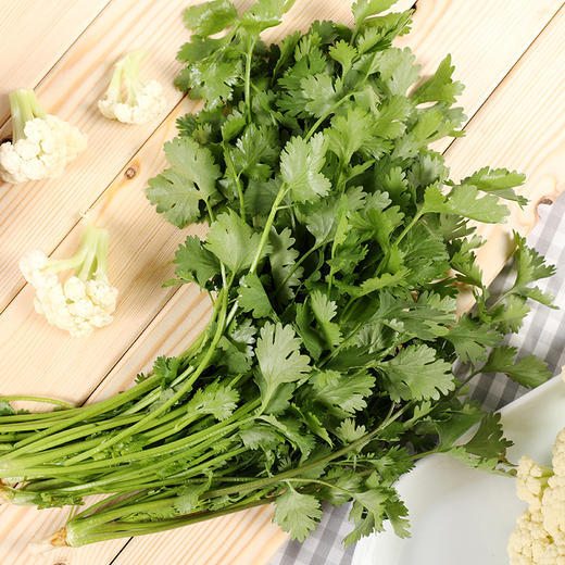 有机香菜 约100g 新鲜蔬菜 火锅食材