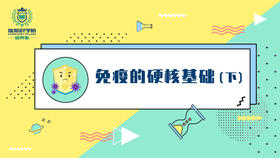 7-免疫的硬核基础（下）