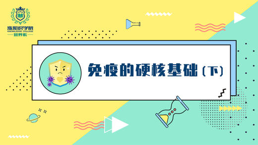 7-免疫的硬核基础（下） 商品图0