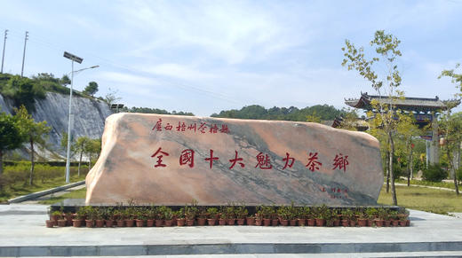 6. 六堡茶相关的科研情况介绍 商品图0