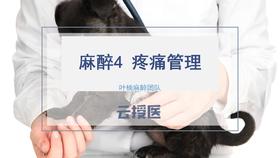 麻醉4 疼痛管理