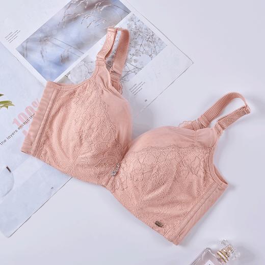 【秒杀品不退不换】皇家丽美文胸网纱水晶杯内衣美背四排扣显小胸内衣WJ912-1 商品图0