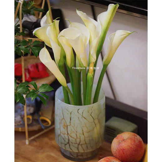 【周四秒杀】白色马蹄莲8枝49.8元 商品图1