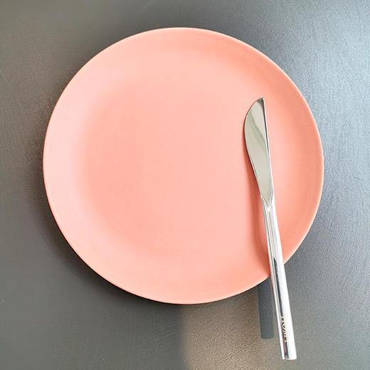 304不锈钢甜品刀 商品图2