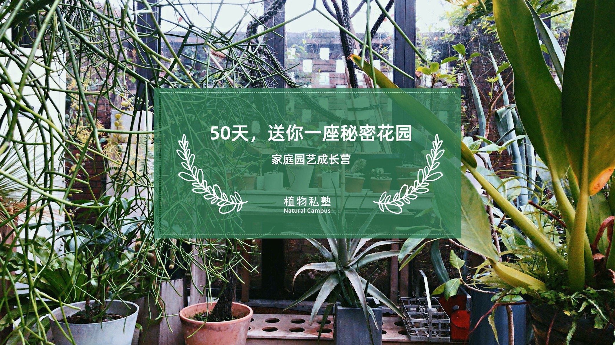 2020植物私塾【家庭园艺成长营】