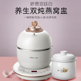 小熊燕窝炖盅煲（陶瓷内胆）