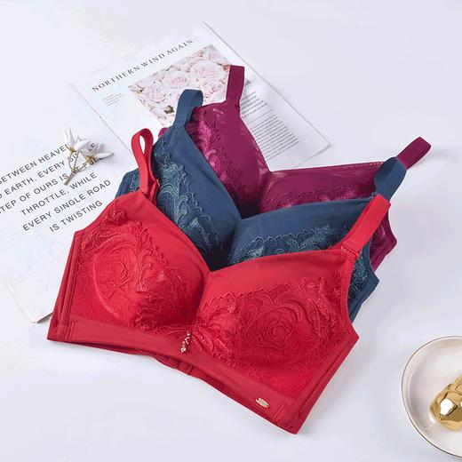皇家丽美文胸调整型无钢圈中杯美背四排扣内衣精美刺绣羽毛WW918-2 商品图2