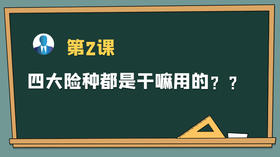 保主任第二课：四大险种，都是干嘛用的？