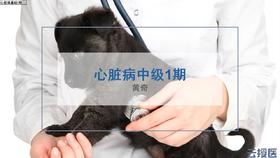 心脏病系列课程中级1期