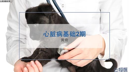 心脏病系列课程基础2期 商品图0