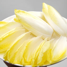 物本源有机菊苣菜