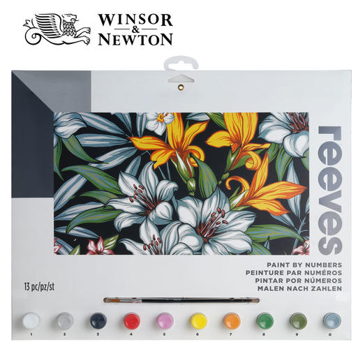 【温莎牛顿】RVS高级数字油画-热带雨林花 商品图0